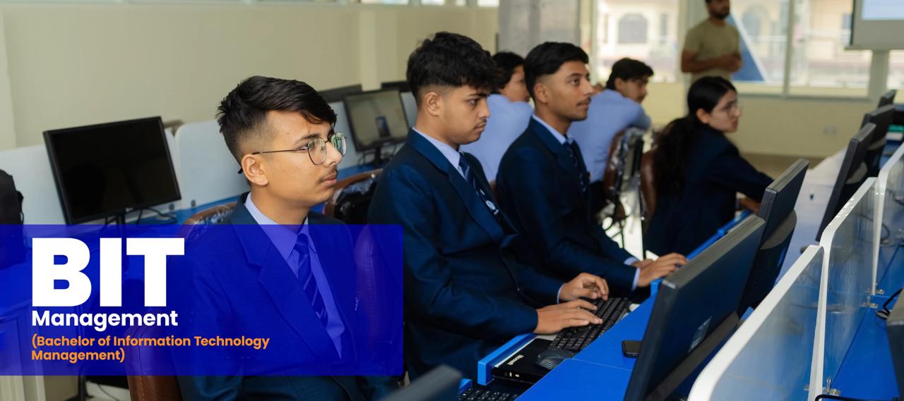 Bachelor of Information Management