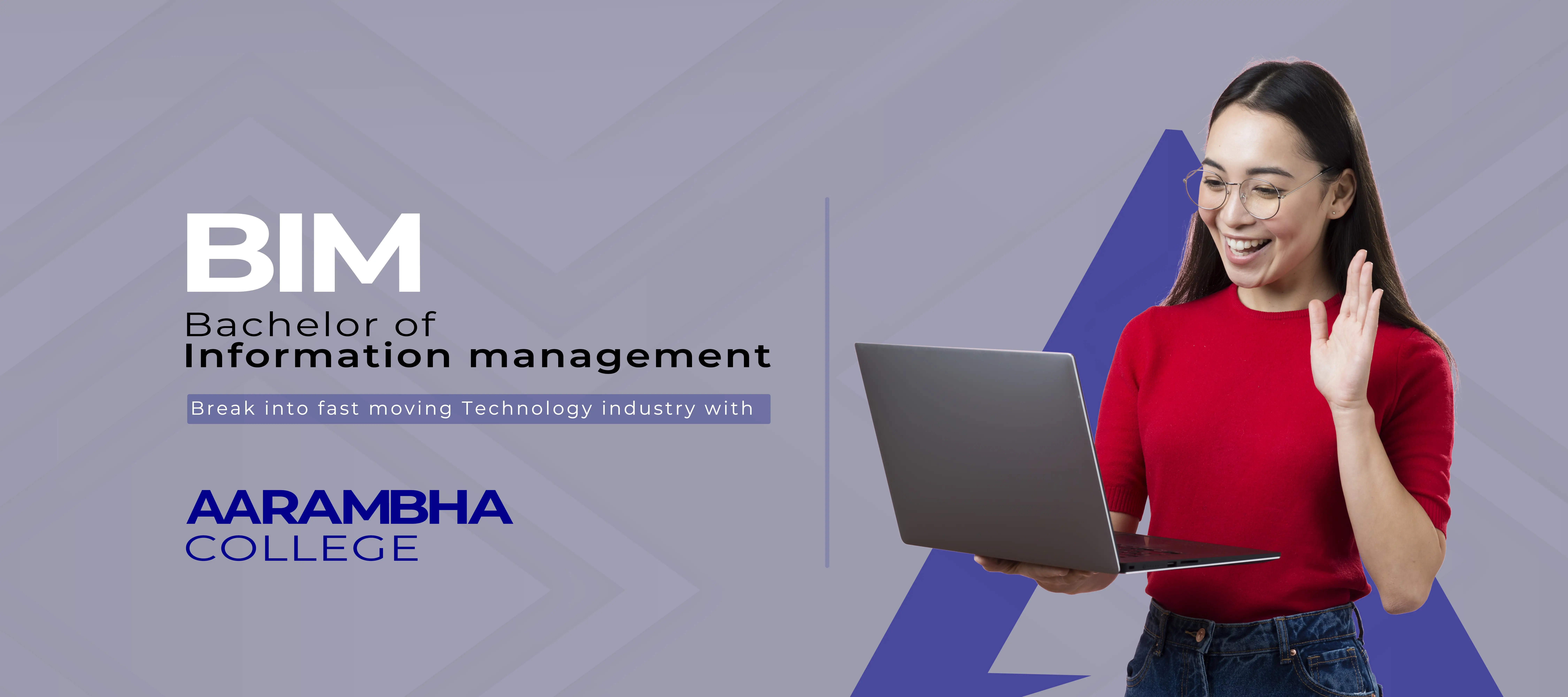 Bachelor of Information Management